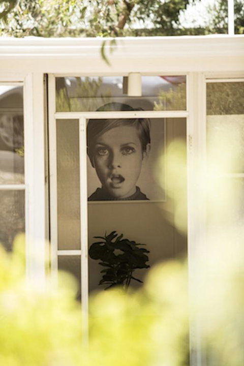 Twiggy @ Anglesea - Accommodation Brunswick Heads 3