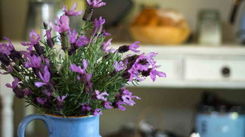 Vicarage View Cottage - Accommodation Brunswick Heads 2