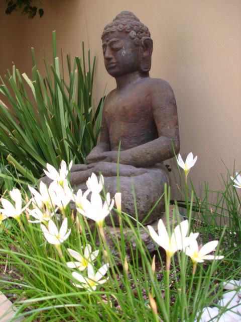 Villa Baci - Accommodation Brunswick Heads 3