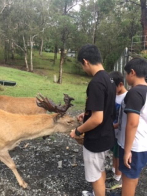 Villa Cervi Property - Accommodation Brunswick Heads 3