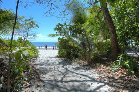 Villa Del Mar - Port Douglas - Accommodation Brunswick Heads 1