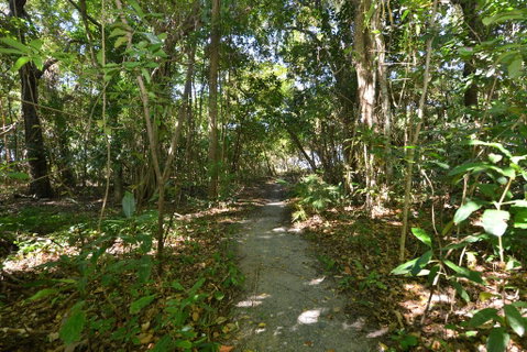 Villa Frangipani - Accommodation Brunswick Heads 2