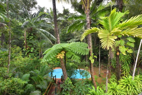 Wait A While Daintree - Accommodation Brunswick Heads 3