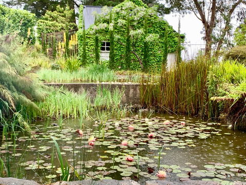 Waterhouse - Accommodation Brunswick Heads 1