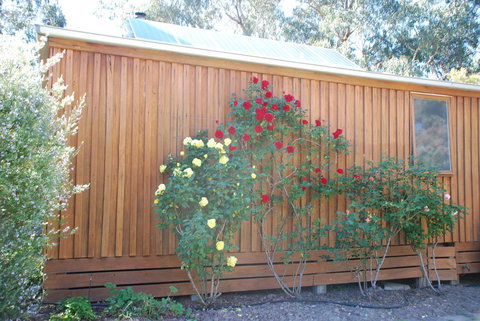 Bluegum Ridge Cottages - Accommodation Brunswick Heads 23