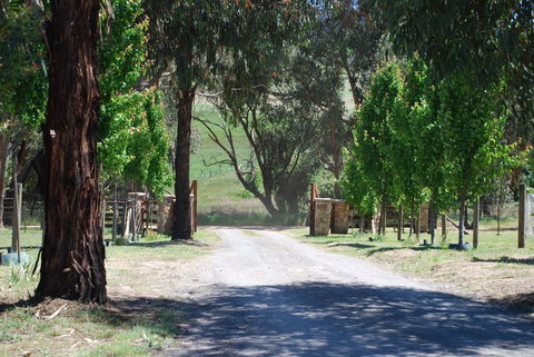 Bluegum Ridge Cottages - Accommodation Brunswick Heads 3