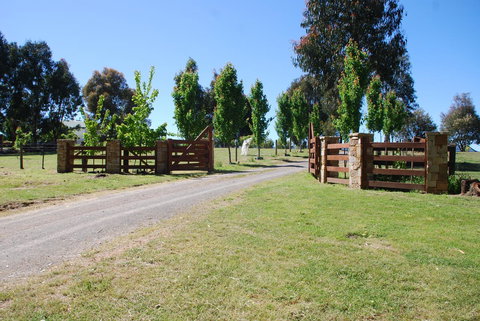 Bluegum Ridge Cottages - Accommodation Brunswick Heads 2