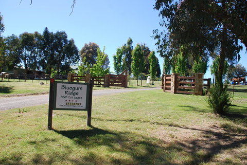 Bluegum Ridge Cottages - Accommodation Brunswick Heads 1