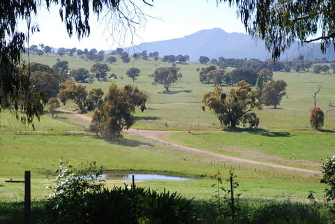 Bluegum Ridge Cottages - Accommodation Brunswick Heads 31