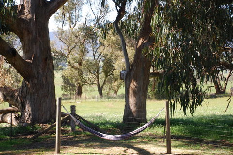 Bluegum Ridge Cottages - Accommodation Brunswick Heads 28