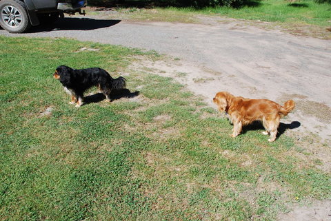 Bluegum Ridge Cottages - Accommodation Brunswick Heads 6