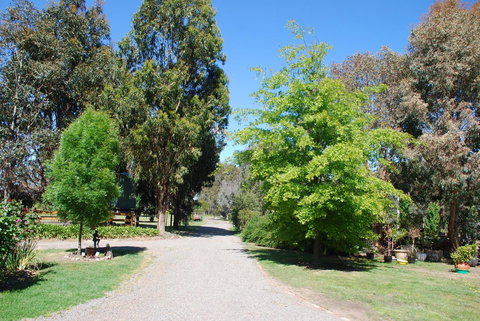 Bluegum Ridge Cottages - Accommodation Brunswick Heads 5