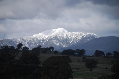 Bluegum Ridge Cottages - Accommodation Brunswick Heads 35