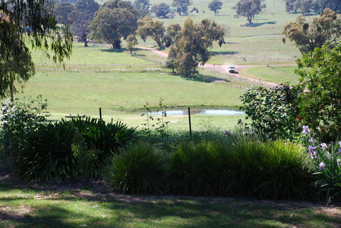 Bluegum Ridge Cottages - Accommodation Brunswick Heads 30