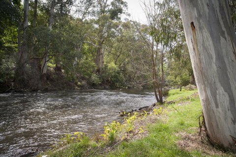 Oscar\'s On The Yarra - Accommodation Brunswick Heads 23