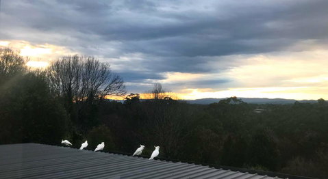 Beautiful View House - Accommodation Brunswick Heads 21