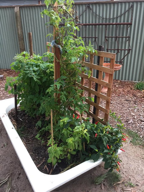 Grampians Pomonal Cottages - Accommodation Brunswick Heads 28