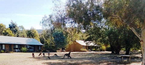 Grampians Pomonal Cottages - Accommodation Brunswick Heads 6