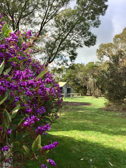 Grampians Pomonal Cottages - Accommodation Brunswick Heads 21