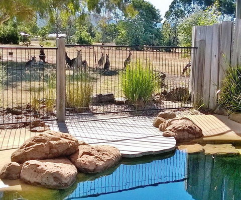 Grampians Pomonal Cottages - Accommodation Brunswick Heads 24