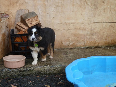 Bundjil Studio - Accommodation Brunswick Heads 15