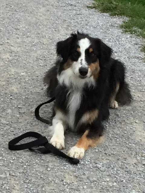 Bundjil Studio - Accommodation Brunswick Heads 14