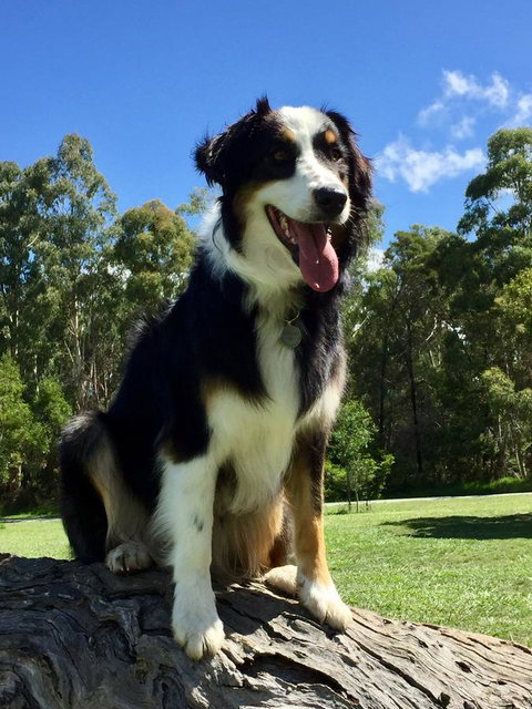 Bundjil Studio - Accommodation Brunswick Heads 13