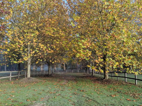 Kangaroo Manor - Accommodation Brunswick Heads 11