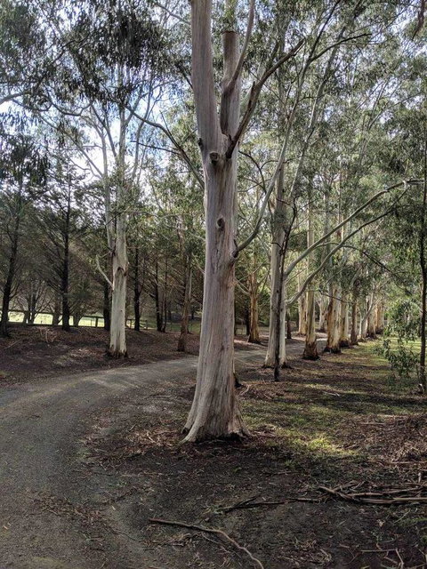 Kangaroo Manor - Accommodation Brunswick Heads 10