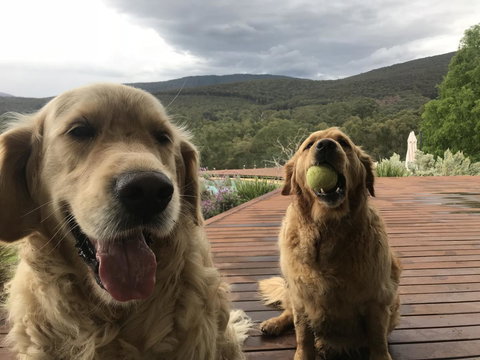 Kangaroo Manor - Accommodation Brunswick Heads 3