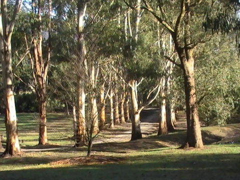 Kangaroo Manor - Accommodation Brunswick Heads 21