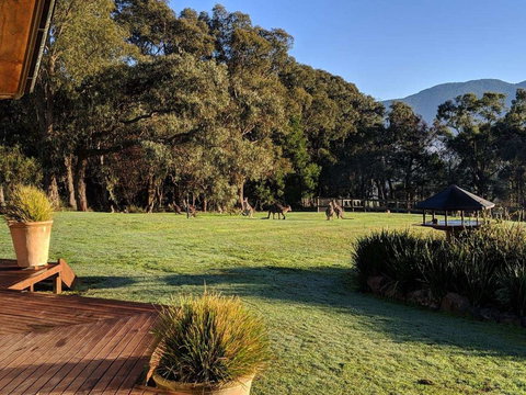 Kangaroo Manor - Accommodation Brunswick Heads 5