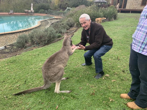 Kangaroo Manor - Accommodation Brunswick Heads 13