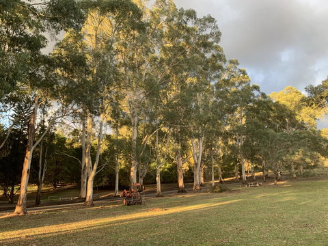 Kangaroo Manor - Accommodation Brunswick Heads 15