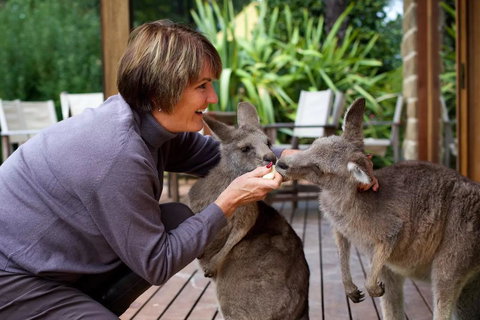 Kangaroo Manor - Accommodation Brunswick Heads 20