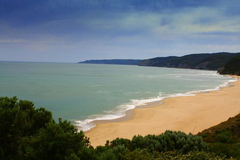Johanna Seaside Cottages - Accommodation Brunswick Heads 28
