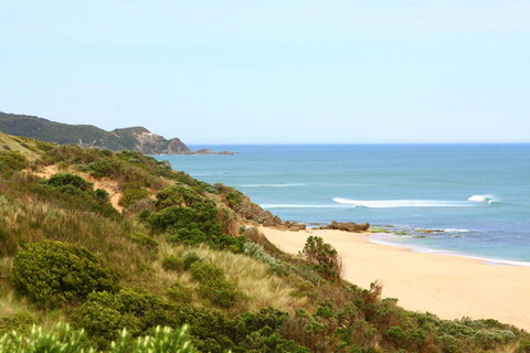 Johanna Seaside Cottages - Accommodation Brunswick Heads 27