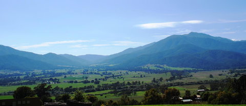 Allamar Motel - Accommodation Brunswick Heads 1