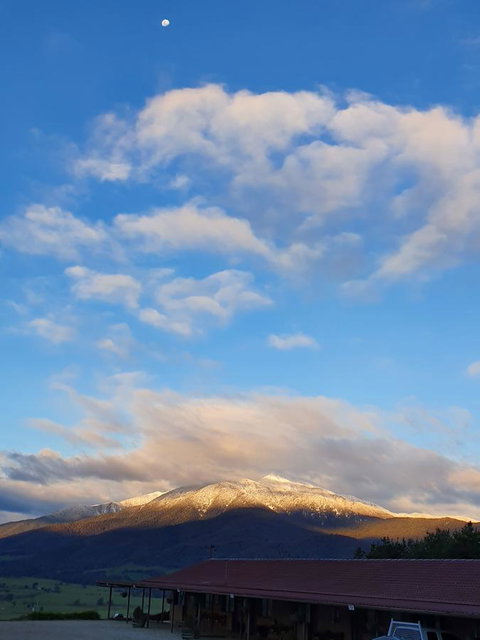 Allamar Motel - Accommodation Brunswick Heads 3