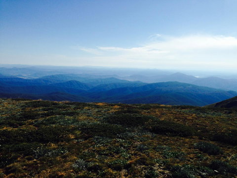 Allamar Motel - Accommodation Brunswick Heads 20