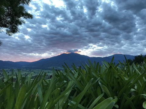 Allamar Motel - Accommodation Brunswick Heads 4
