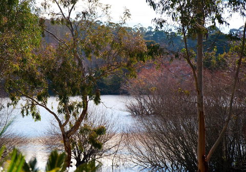 Lake Como Villa - Accommodation Brunswick Heads 10