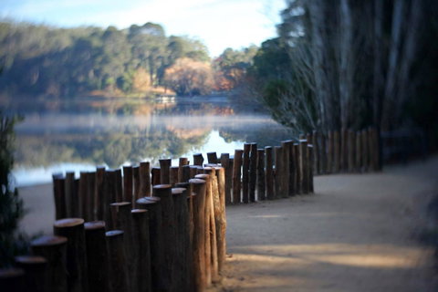 Minni Gums - Accommodation Brunswick Heads 4