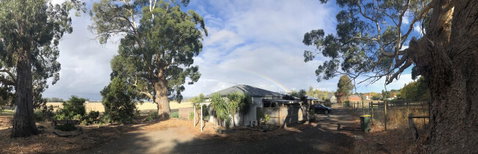 Minni Gums - Accommodation Brunswick Heads 11