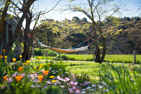 Cabrito - Accommodation Brunswick Heads 3