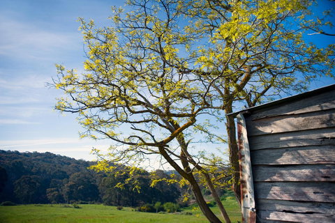 Cabrito - Accommodation Brunswick Heads 9