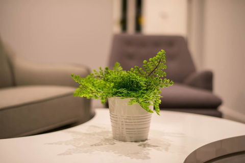 Astrina 2 Bed 2 Bath Apartment - Accommodation Brunswick Heads 4
