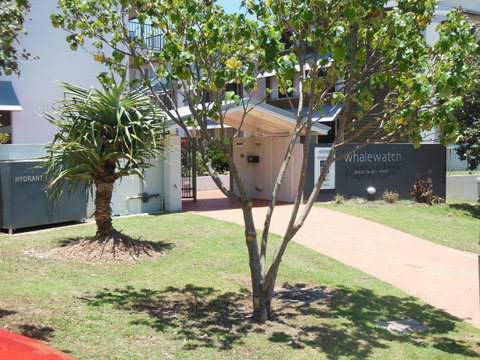 Whale Watch Ocean Beach Resort - Accommodation Brunswick Heads 14