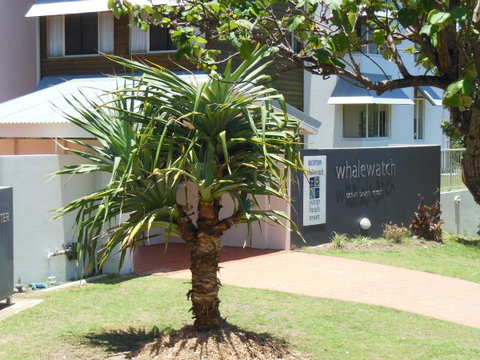 Whale Watch Ocean Beach Resort - Accommodation Brunswick Heads 15