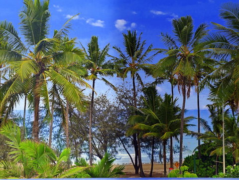 By The Sea Port Douglas - Accommodation Brunswick Heads 3